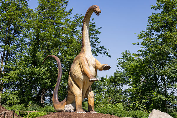 58. Apatosaurus