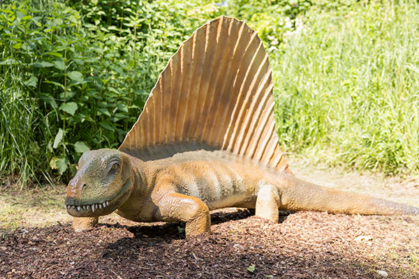 14. Edaphosaurus