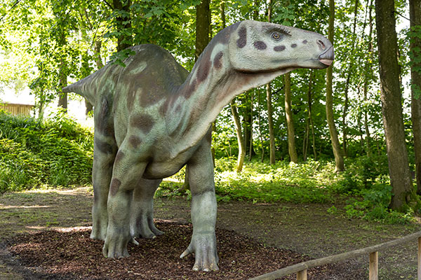 17. Iguanodon