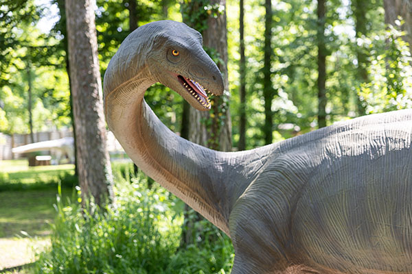 47. Lufengosaurus