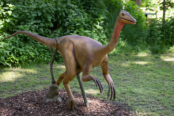 22. Ornithomimus