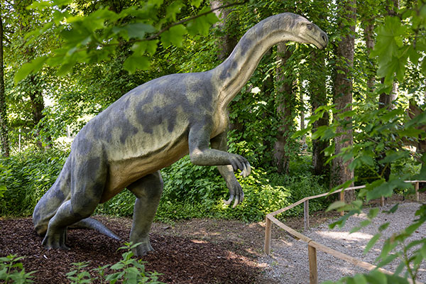 37. Plateosaurus