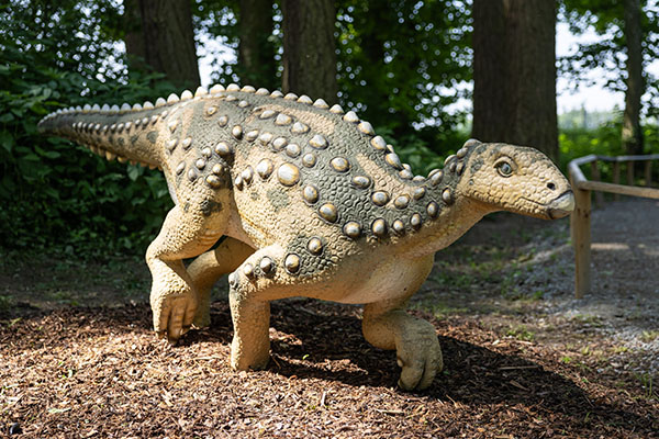 36. Scelidosaurus