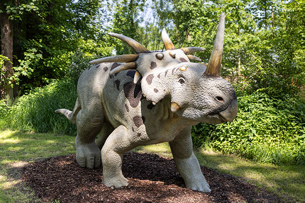 30. Styracosaurus