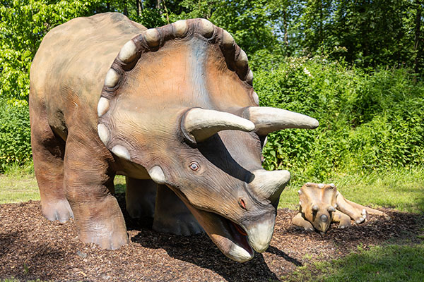 33. Triceratops