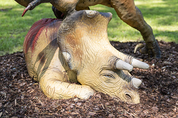 31. Triceratops (Baby)