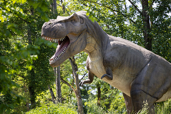 56. Tyrannosaurus Rex