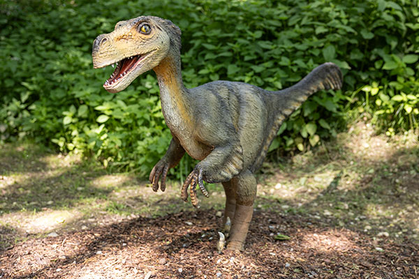 18. Velociraptor